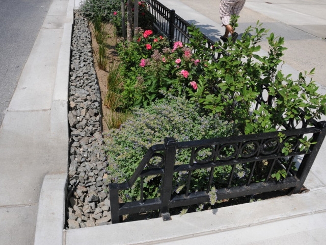 DEC Now Accepting Applications for Environmental Justice Community Impact Grants