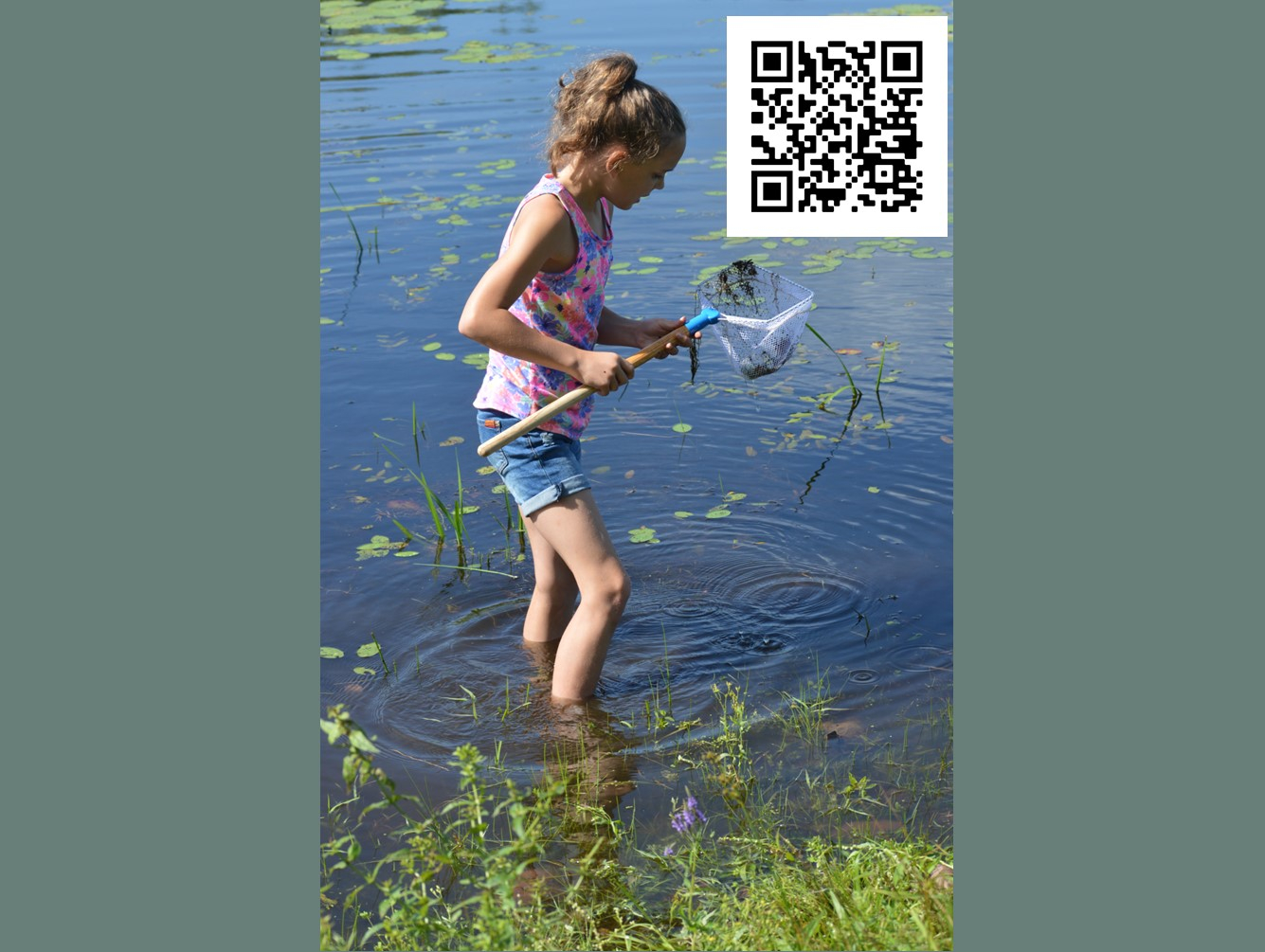 June Programs at the Amboy 4-H Environmental Education Center