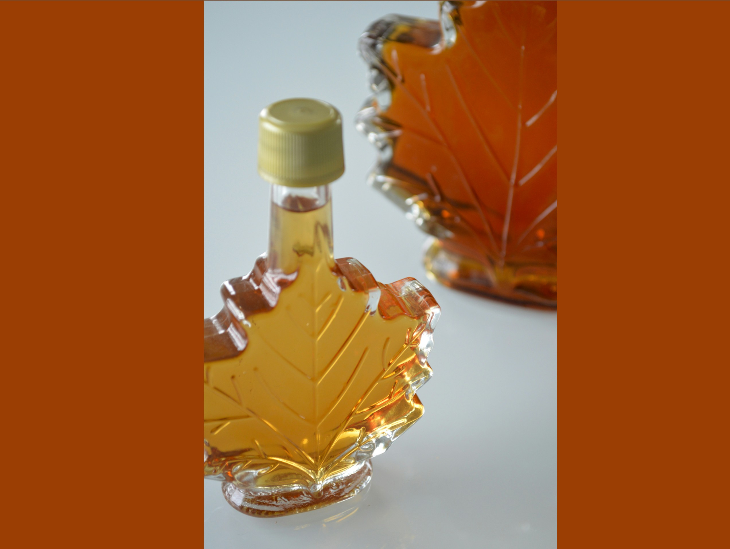 How You Can Protect New York's Maple Tradition During Maple Weekend