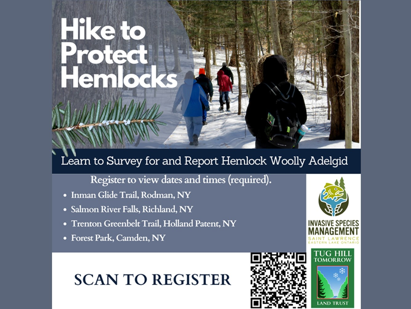 Kick Off the New Year by Protecting Hemlock Trees!