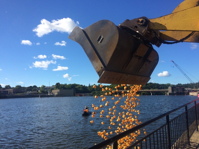 Fulton Lions’ 32nd Charby’s Duck Derby Launches Sept. 11th