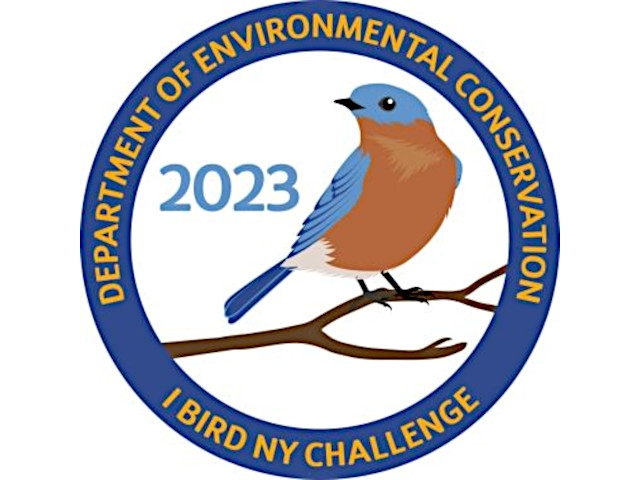 DEC Announces 2023 I BIRD NY Challenge
