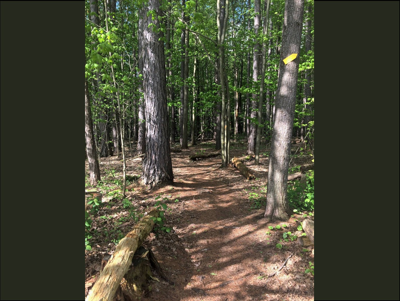 3,000+ Volunteers to Clean Up Greenway Trails Across the State