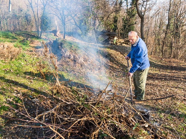 DEC Announces Brush Burning Prohibited Statewide March 16 Thru May 14