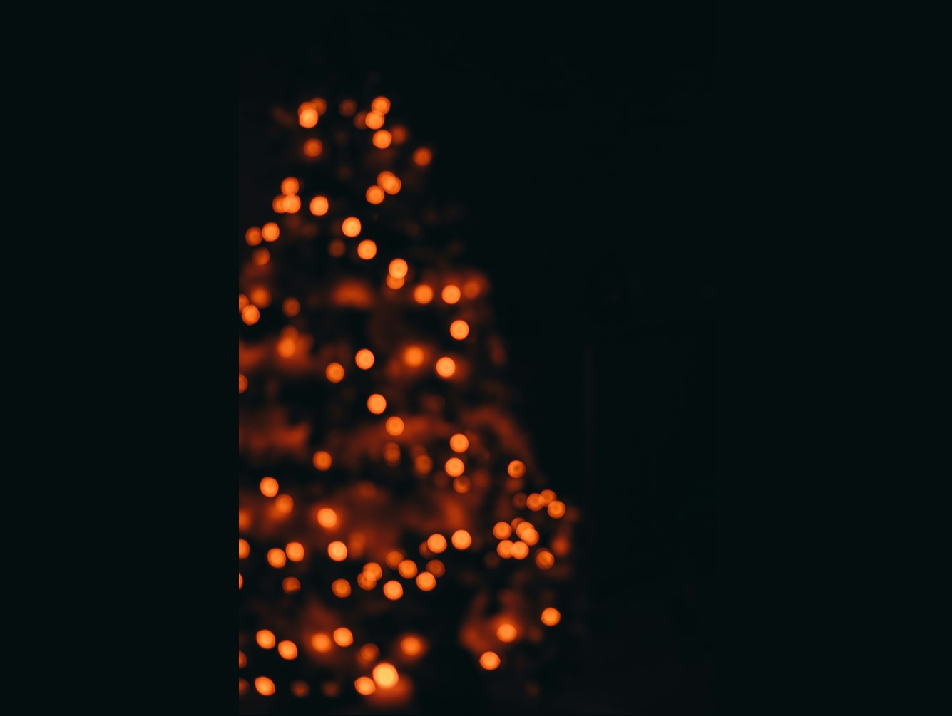 Oswego County Offers Free Transportation to 'Lights on the Lake' December 28