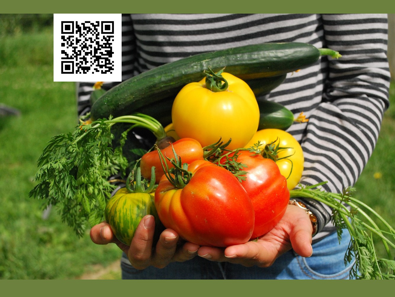 Vegetable Gardening for Beginners