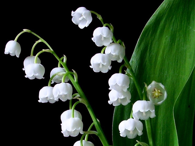 Catherine T. O'Neil – July 5, 2022