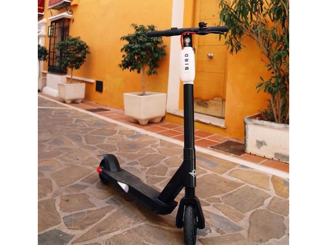 Mayor Barlow Announces Bird Electric Scooters Coming to Oswego