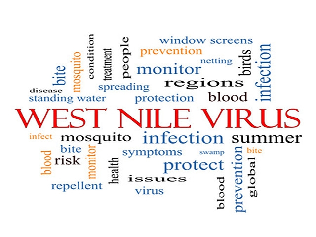 EEE and WNV Found in Oswego County and Another Horse Died from EEE