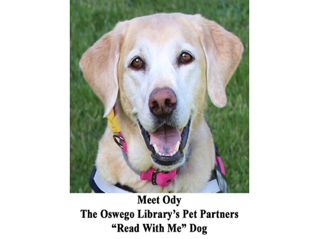 Free Info Session - - Become A Pet Therapy Volunteer