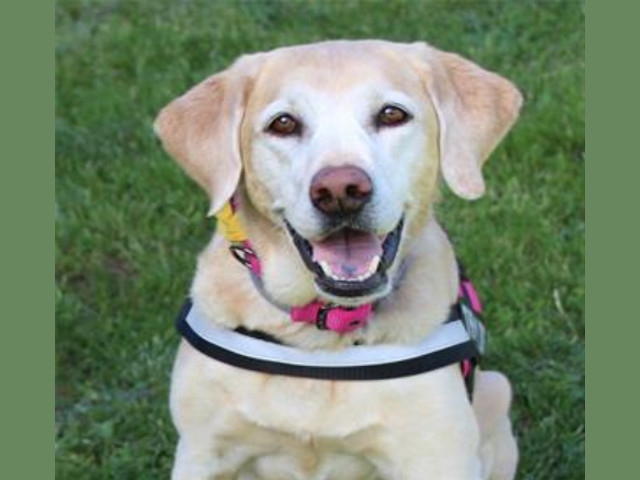 Read With Ody Is Back for 2018