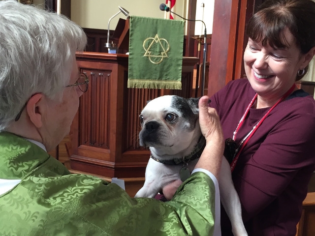 'Blessings Of The Animals' Set For Oct. 6 at Oswego's Episcopal Church