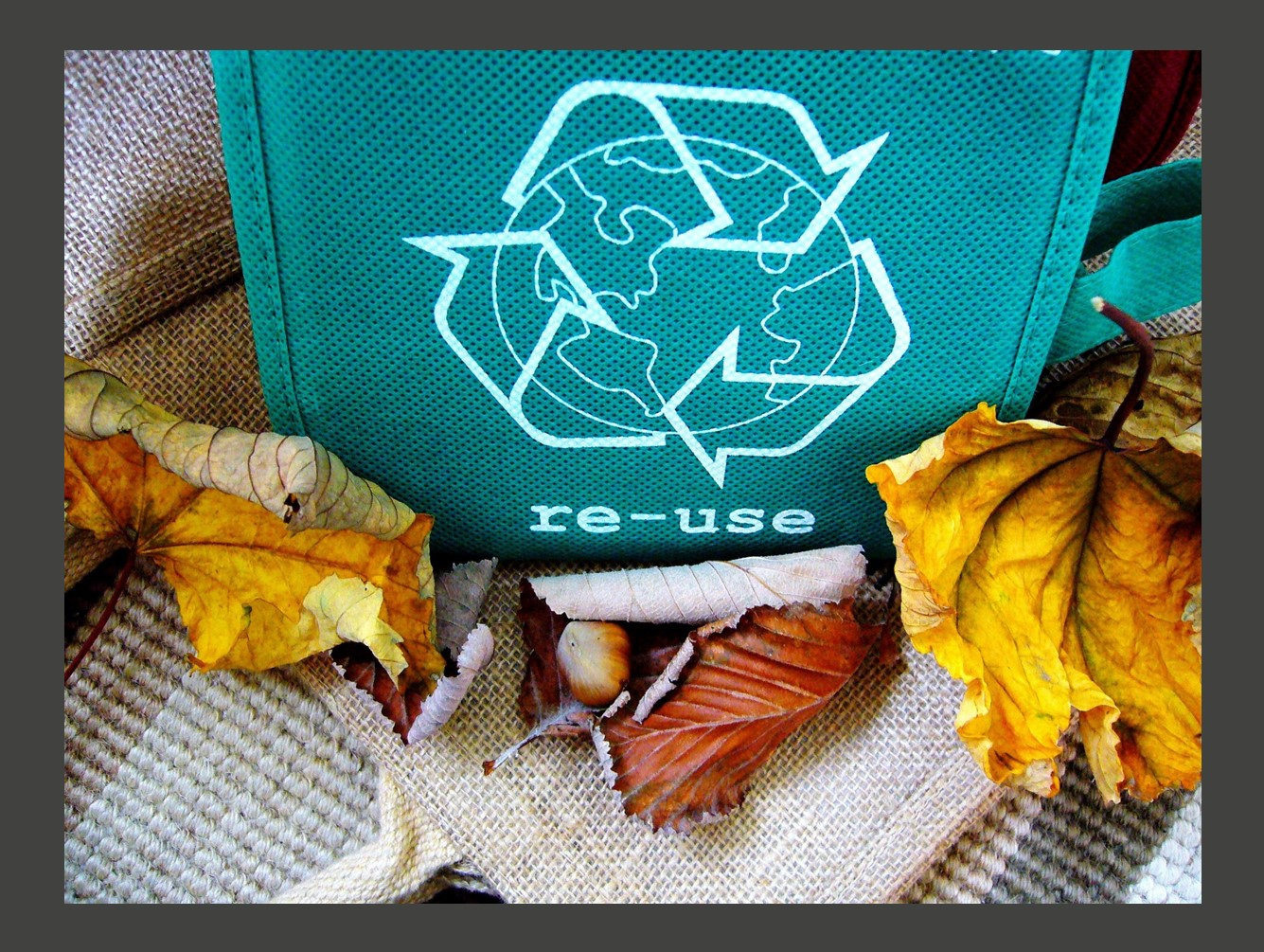 Sparks - Recycling Club at the Amboy 4-H Environmental Education Center