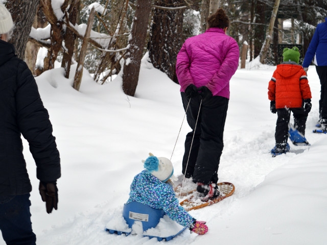 Guided Winter Programs Offered at Amboy 4-H Environmental Education Center
