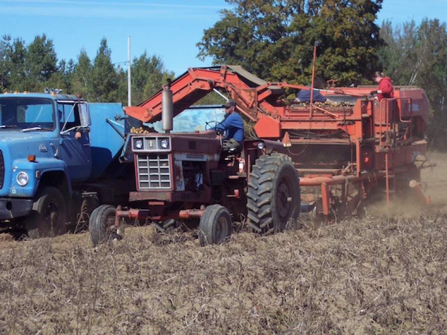 Oswego County Harvest Dinner Set for October
