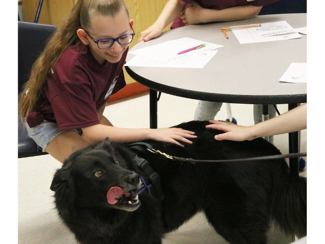 Fairgrieve Elementary School Career Day A Success