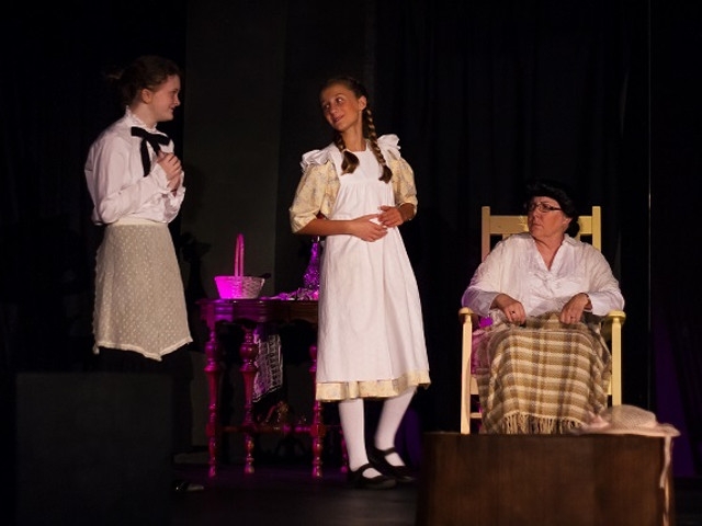 'Pollyanna' Open Aug 5 at CNY Arts Center