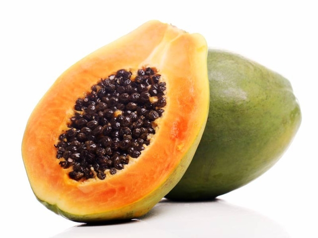 Pawpaw Workshop Sept. 23rd:  Introducing Pawpaw Fruit for Small Orchards
