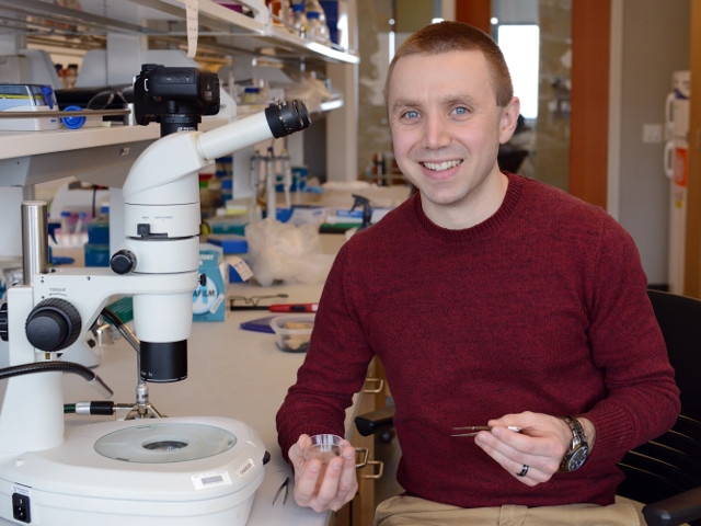 NSF Grant to Oswego Professor to Offer Research Opportunities