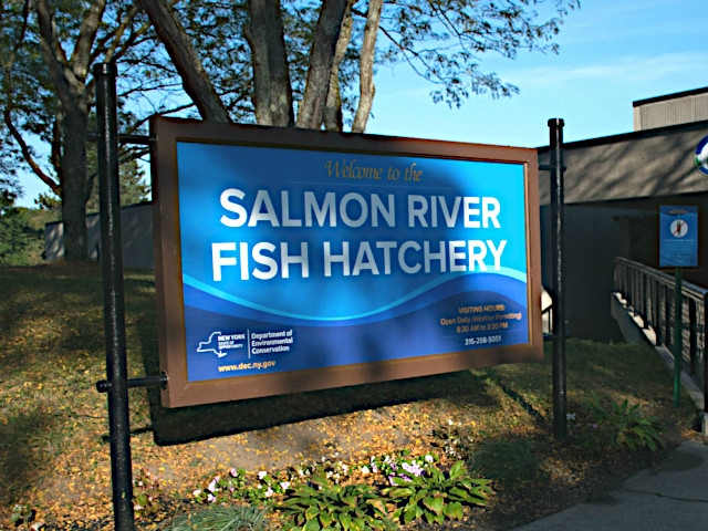 DEC Invites Public to 24th Annual Salmon River Fish Hatchery Open House
