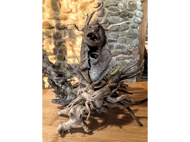New Art Exhibition at Art Association of Oswego Starts Oct 9th