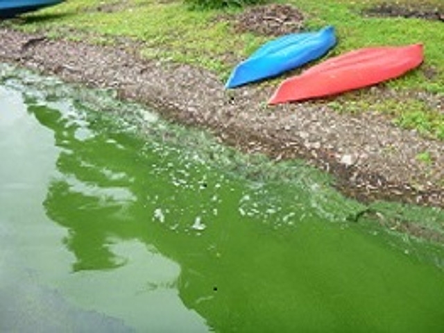 David C. Webb Memorial Park Bathing Beach in Constantia is Closed