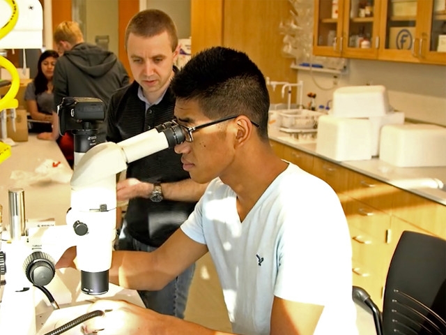 SUNY Oswego Initiative Increases Grant Submissions, Funding