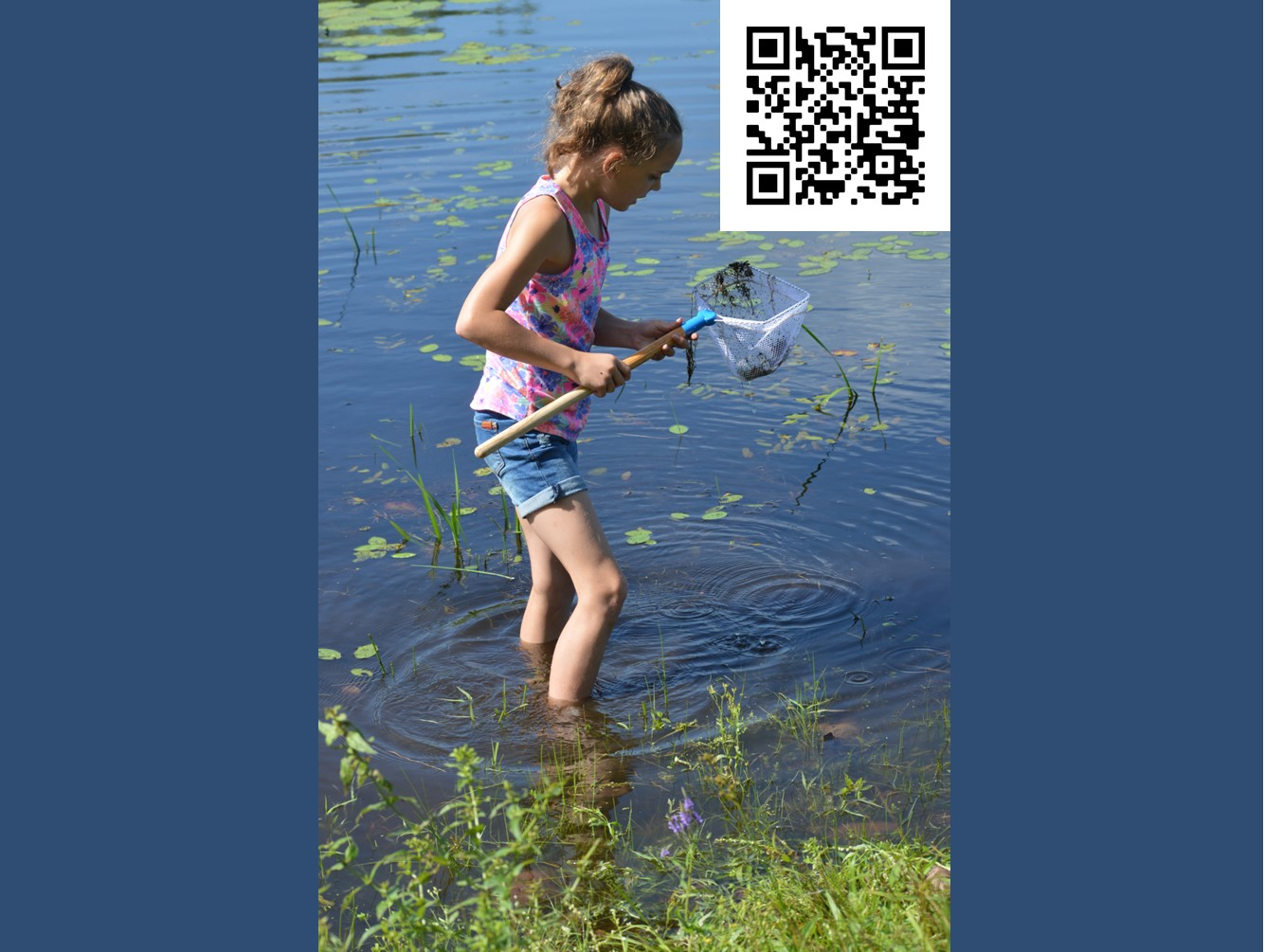 Stream Safari at the Amboy 4-H Environmental Education Center