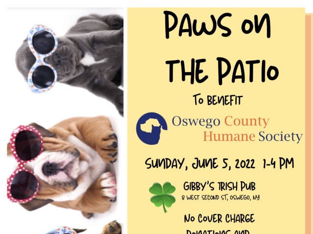 Gibby’s Irish Pub to Host Paws on the Patio