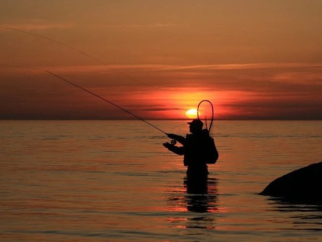 DEC Announces Oct. 16 Opening of State's New Catch-and-Release Season in Trout Streams