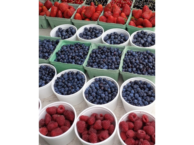 Small Fruits for Small Farms: An Introduction to Best Practices for Small Berry Fruit Production