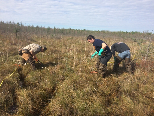 Grant Supports College's Effort to Protect Rare Moth, Turtle Habitat