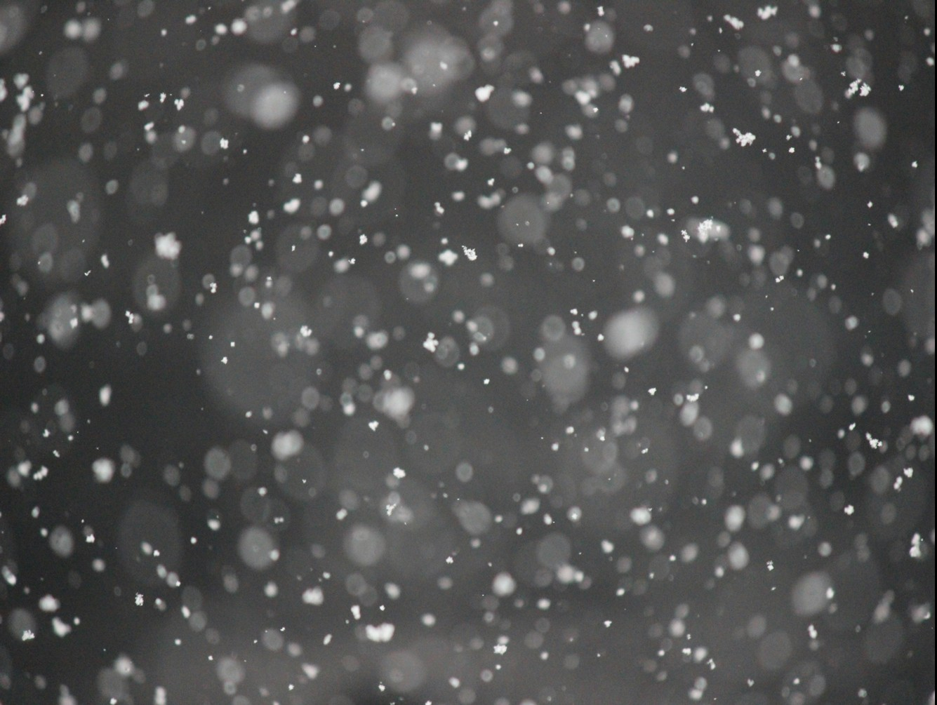 Oswego County SAR Secures Snow Removal Help from State Teams