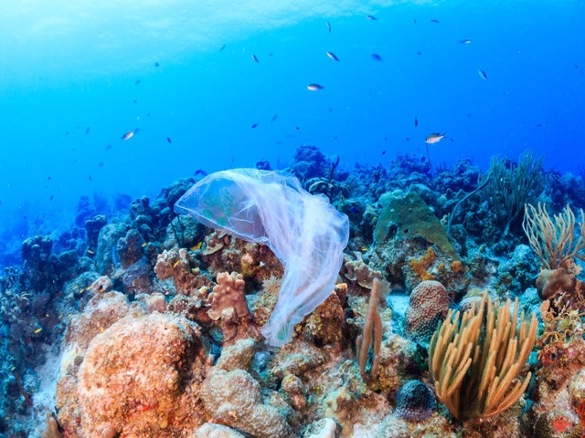 DEC Proposes Amended Water Quality Criteria for Marine Waters