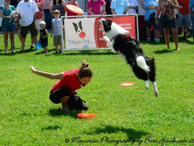 Dogs, Jet Skis and T-Shirts for 2015 Harborfest