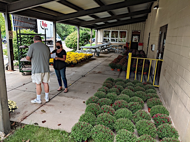 Oswego Industries Announces Fall Mums Fundraiser With Oliver Paine Greenhouses