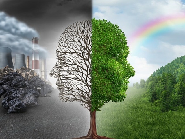 DEC Announces Finalization of 'Value of Carbon' Guidance