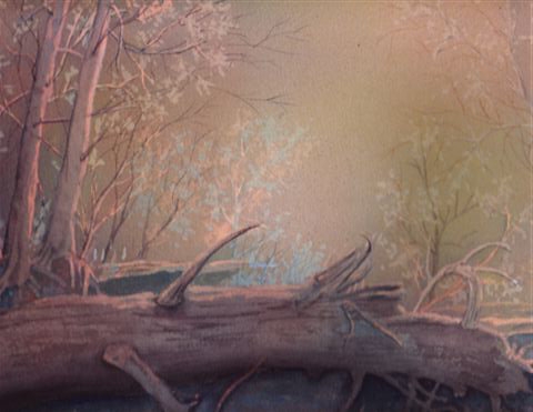 Carol Burghart artwork on display at the Oswego Public Library