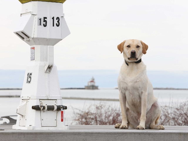 How Skip’s Fish Fry Got Its Name
