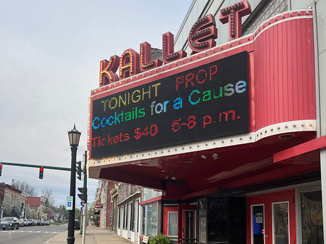 Village of Pulaski Open Call for DRI Projects: Virtual Information Meeting