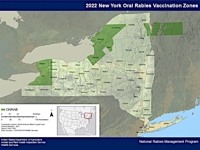 Oswego County Joins National Rabies Vaccine Bait Distribution Program