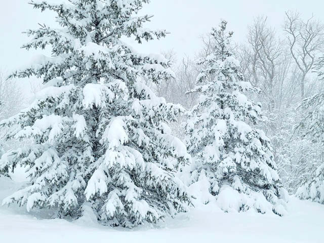 National Weather Service Holds Winter SKYWARN Class Nov. 28