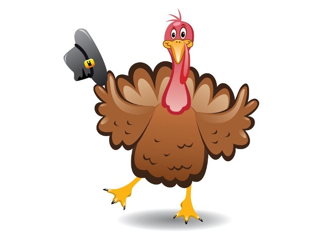 DEC Announces Proposed Changes to Wild Turkey Hunting Regulations