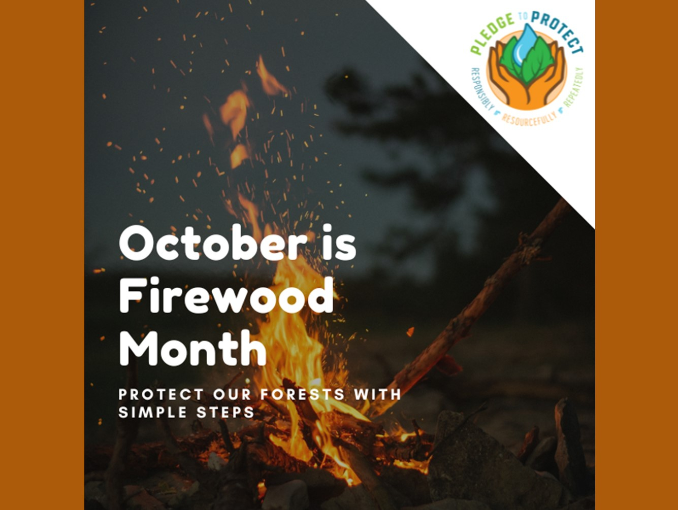SLELO PRISM Provides Resources, Educational Opportunities for Firewood Month