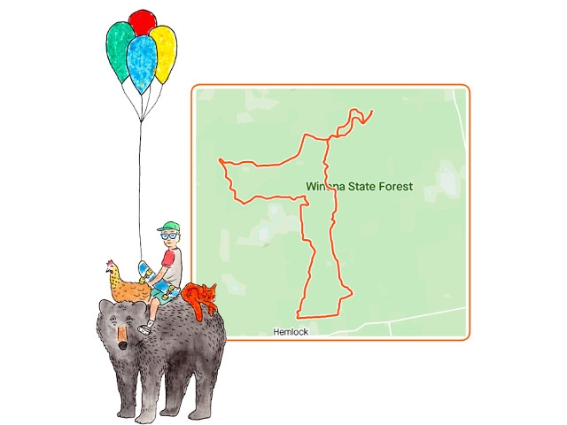 24-Hour Cycle for Soren in Winona State Forest