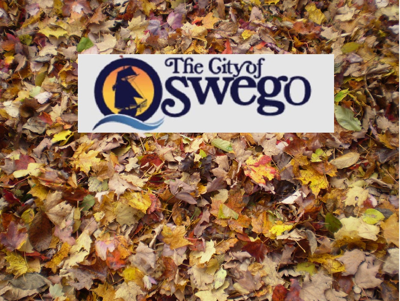 Mayor Corradino Announces Beginning of Yard and Debris Pick-up, Beginning April 1st