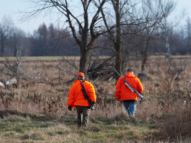 DEC Reminds Outdoor Enthusiasts to Share the Woods Safely this Season