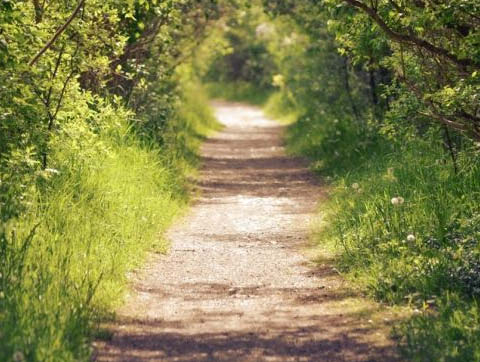 Parks &amp; Trails New York Applauds State Commitment to Funding Public Lands