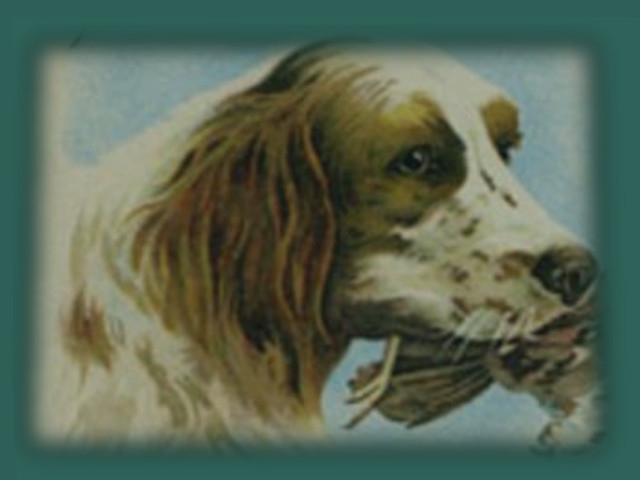 Friends of History to Host Tenth Annual Hunter Arms Homecoming