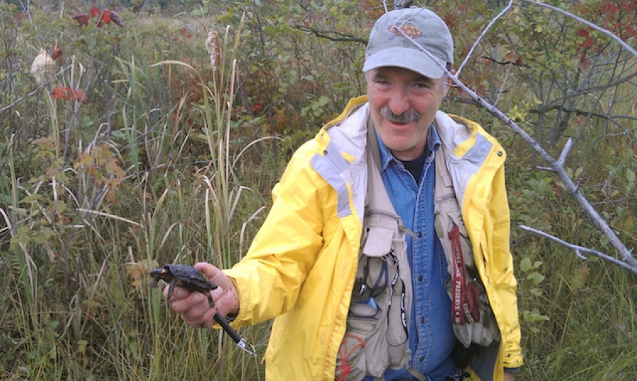Grant to Fund Monitoring Rare Turtles by Air, Land, Water